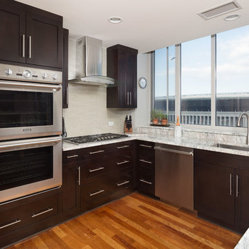 Chicago South Loop Kitchen Remodeling