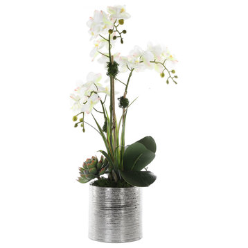 White Pink Orchid Flower Arrangement in Pot