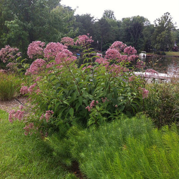 Lake near Fredericksburg, VA:  Plant&Sustain for Clean Water