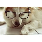 Niven Allen's photo