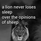 Katie Johnson's photo