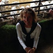 Diane Naughton's photo