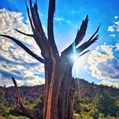 Gabe Snyder's photo