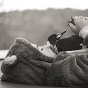 Manar Shoulis foto