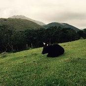 Evelyn Chen's photo