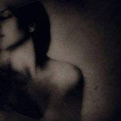 Kato Kato's photo
