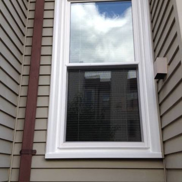 Client Gallery Pictures