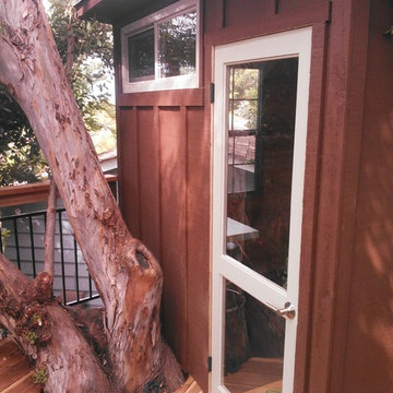 Custom Tree House at La Jolla Shores
