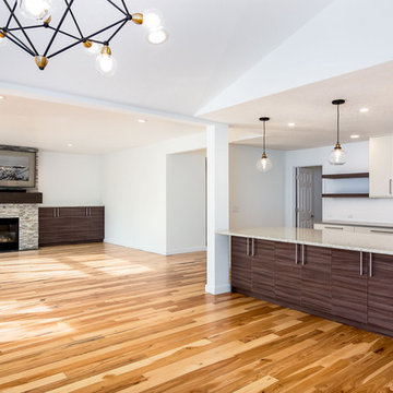 Complete home remodel with custom IKEA kitchen and wolf appliances