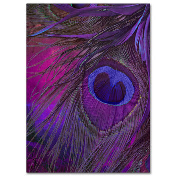 Color Bakery 'Peacock Candy IV' Canvas Art, 18"x24"