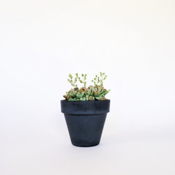 4" Classic Concrete Pot / Dark Gray - Indoor Pots And Planters