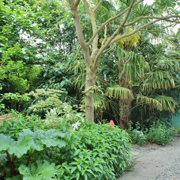 Seattle Organic Garden