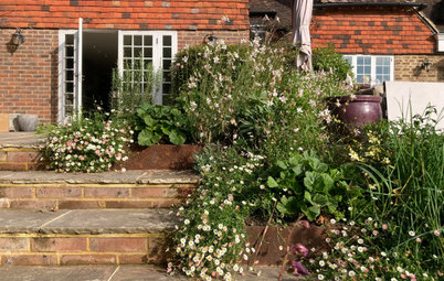 6 Ideas for Gardens On Different Levels