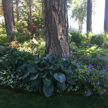 landscaping with perennials