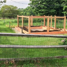Vegetable garden