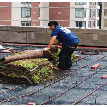 Flag Waterproofing & Restoration Roofing Experts Contractors Local Law 10 11