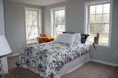 True Neutral Gray Paint Pls Help Here Is A Link That Might Be Useful
