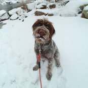 Emerson Sharpe's photo
