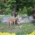 sam_young5843305
