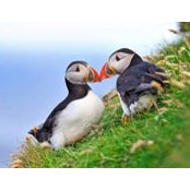 Winnie Okon's photo