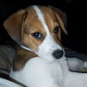 Kimberly Wolford's photo