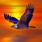 Dale Burch's photo