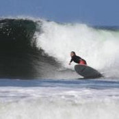 Pat Webers foto