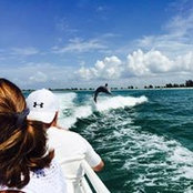 Sandy Dube Erickson's photo