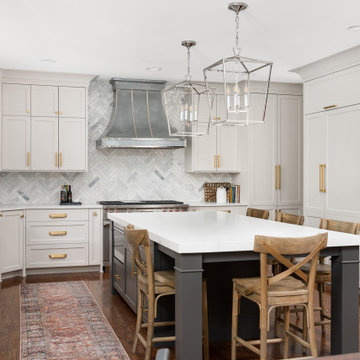 Western Springs Transitional