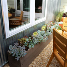 marcymoss_green's Ideas