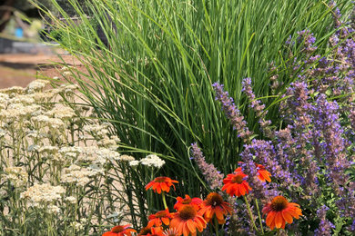 This is an example of a mid-sized southwestern drought-tolerant and full sun front yard flower bed in Other for summer.