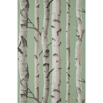 Chester Sage Birch Trees Wallpaper Bolt