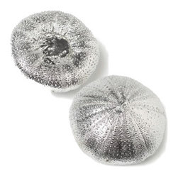 Silver Sea Urchin Resin Replica Set of 2 - Bathroom Accessories