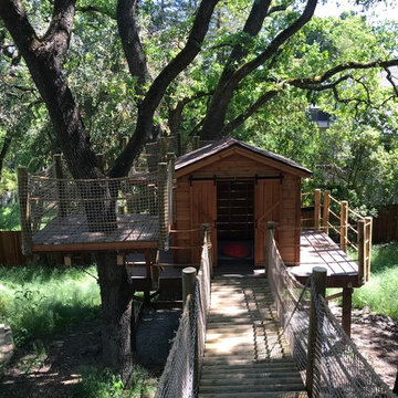 Alamo Treehouse #2
