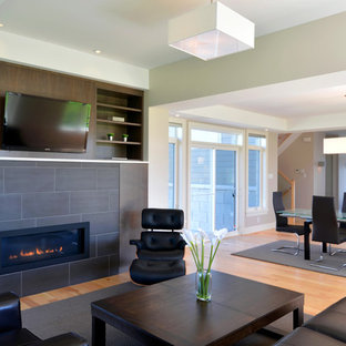 Tv Over Fireplace | Houzz