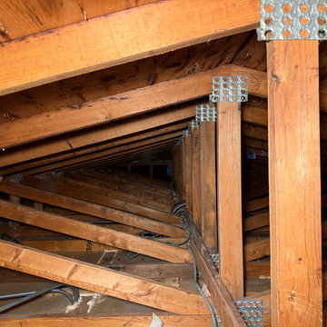 Mold Remediation Service in Attic
