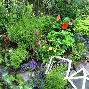 Kleiner Eklektischer Garten im Herbst, hinter dem Haus mit Sportplatz und direkter Sonneneinstrahlung in New York