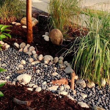 Water Wise Award Recipient