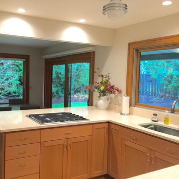 Transitional Kitchen transformation