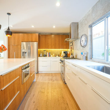 Modern Home Remodel - Los Angeles