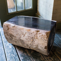 Petrified Wood Online Store - Products