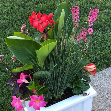 July Vignettes