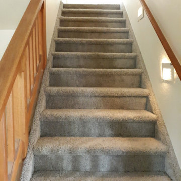 Carpet