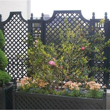 Patio Ideas
