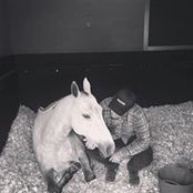 Gustav Rausing's photo
