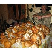 Foto von Владимир Агафонов