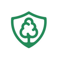 Tree Scouts Tree Service Georgetown