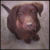 Janet Hill's photo