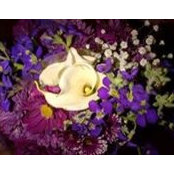 Nancy Brown's photo