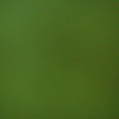 Foto von invisible art